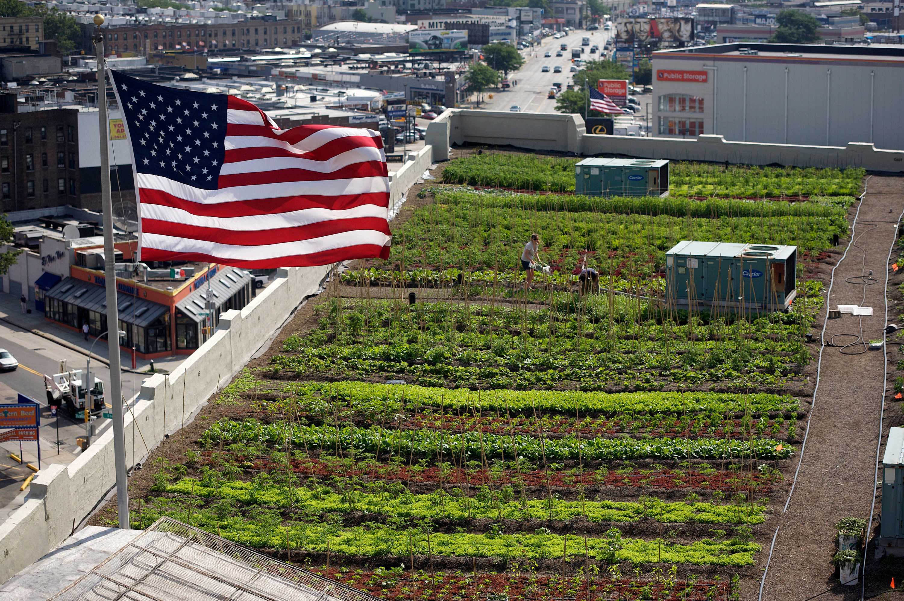 brooklyn grange urban rooftop farm