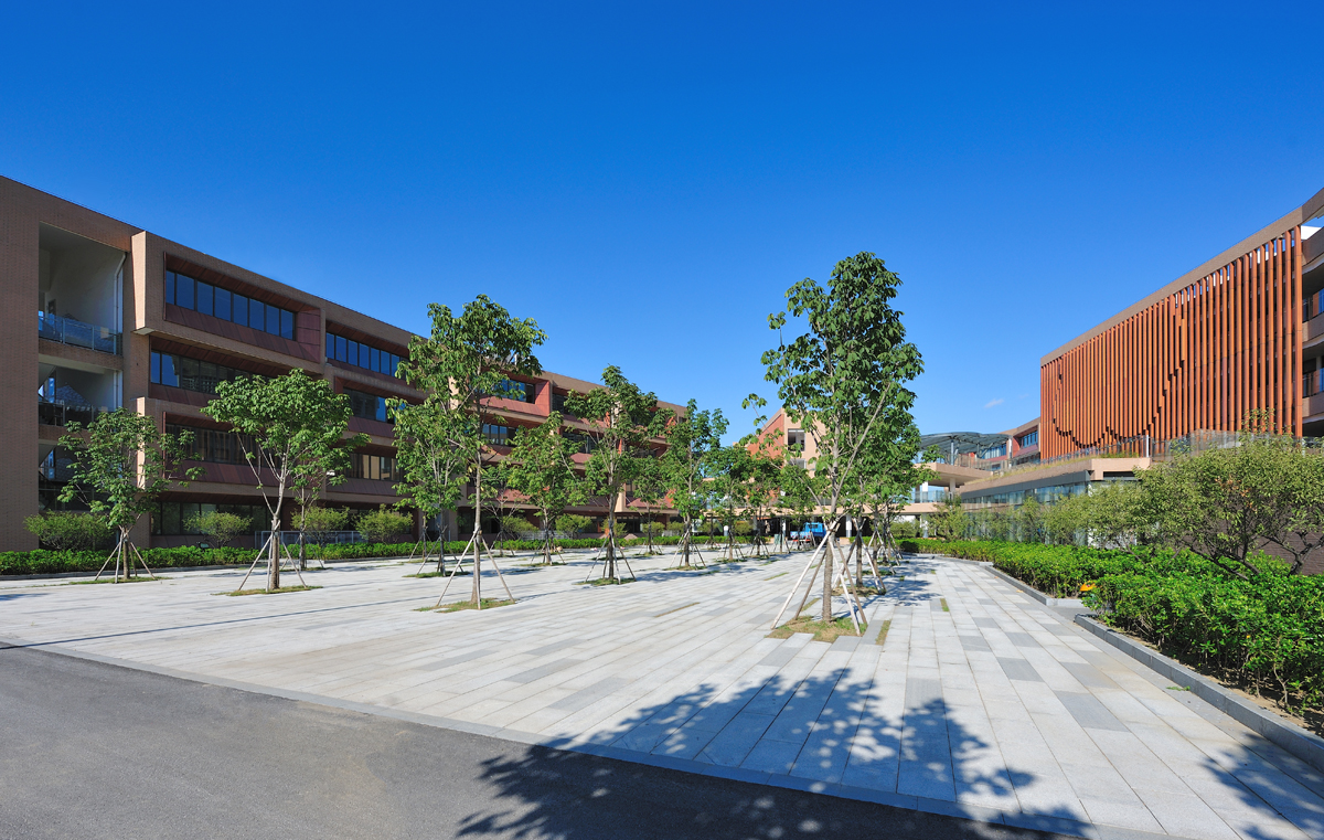 taihu new town primary school