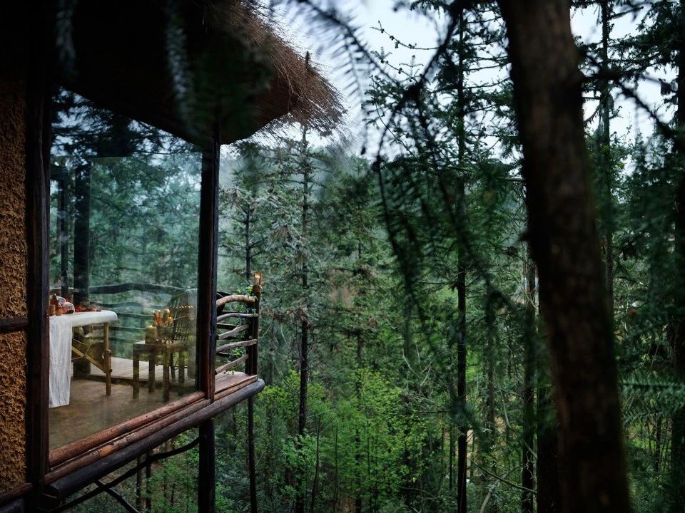 莫干山高端度假区,新时代的10余种新玩法